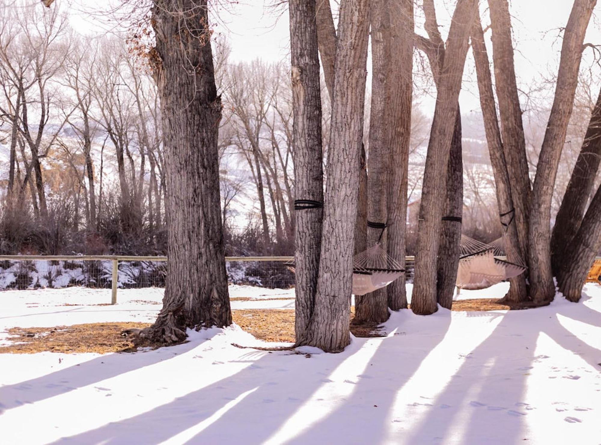 Chinook Winds Lodge Dubois Εξωτερικό φωτογραφία